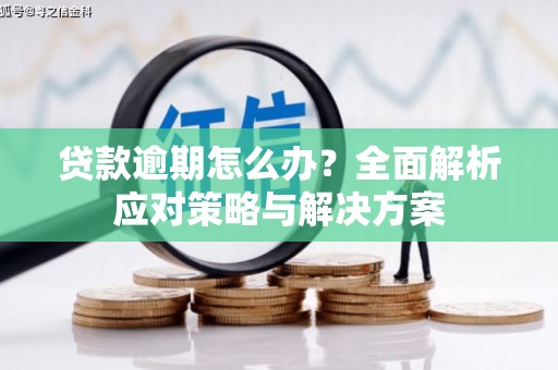 麟游贷款逾期怎么办？全面解析应对策略与解决方案