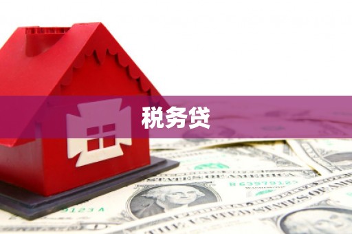 张北税务贷