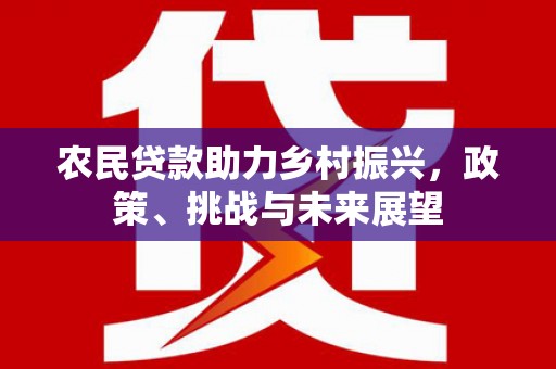 禹会农民贷款助力乡村振兴，政策、挑战与未来展望