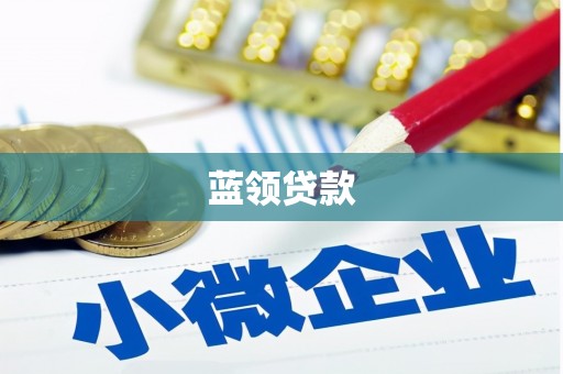 肃北蓝领贷款