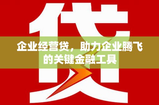 鄱阳企业经营贷，助力企业腾飞的关键金融工具