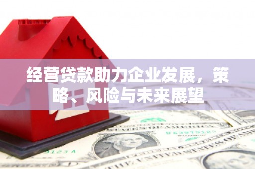 泰山经营贷款助力企业发展，策略、风险与未来展望