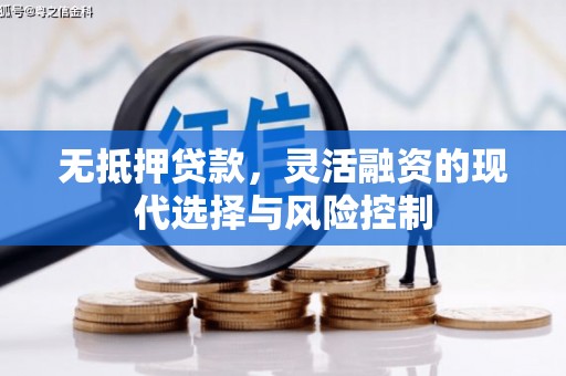 武汉无抵押贷款，灵活融资的现代选择与风险控制