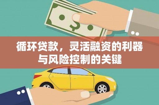 紫云循环贷款，灵活融资的利器与风险控制的关键