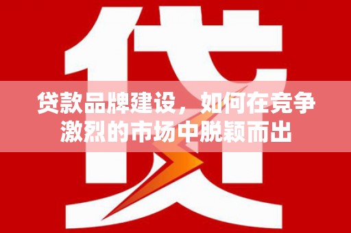 岳阳楼贷款品牌建设，如何在竞争激烈的市场中脱颖而出