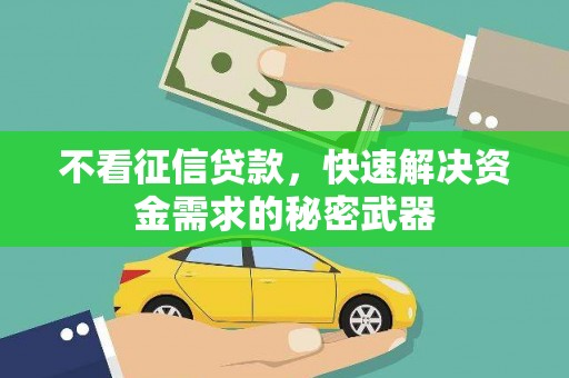 宣汉不看征信贷款，快速解决资金需求的秘密武器