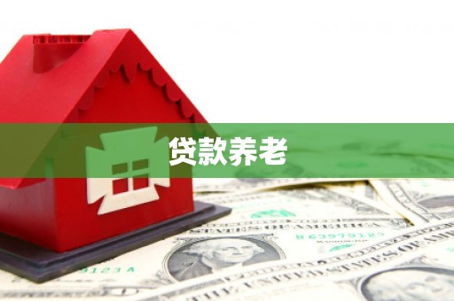 尉犁贷款养老