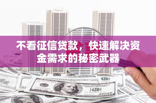 乐山不看征信贷款，快速解决资金需求的秘密武器