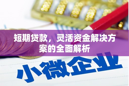 柳营短期贷款，灵活资金解决方案的全面解析