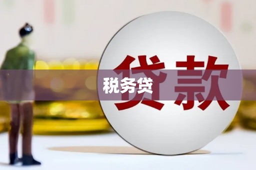 灞桥税务贷