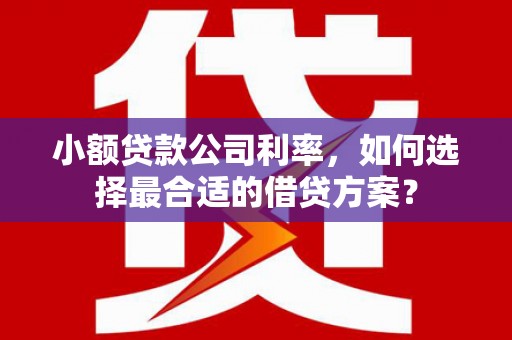 葵青小额贷款公司利率，如何选择最合适的借贷方案？