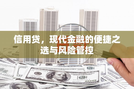 柳北信用贷，现代金融的便捷之选与风险管控