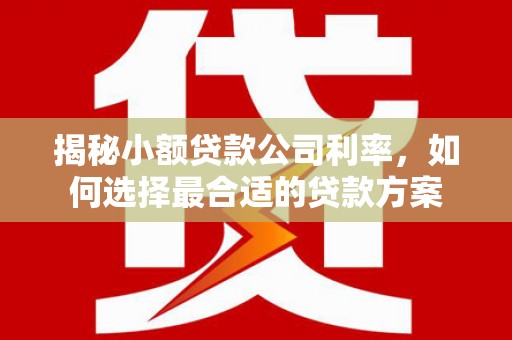 遵化揭秘小额贷款公司利率，如何选择最合适的贷款方案