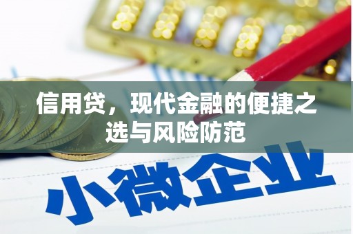 大英信用贷，现代金融的便捷之选与风险防范
