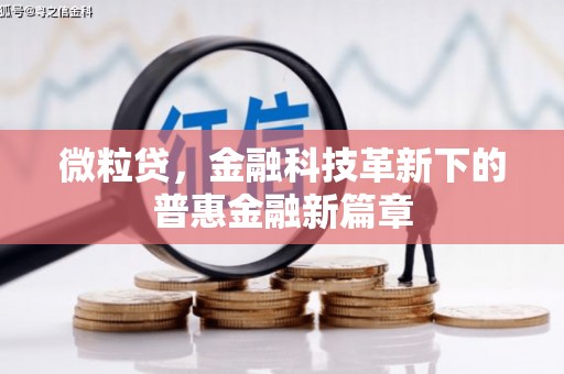 文成微粒贷，金融科技革新下的普惠金融新篇章