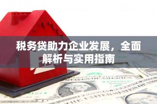 恩平税务贷助力企业发展，全面解析与实用指南