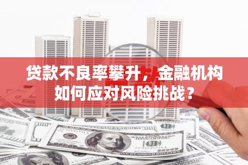 鹿野贷款不良率攀升，金融机构如何应对风险挑战？