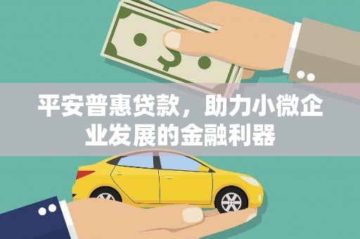 大名平安普惠贷款，助力小微企业发展的金融利器