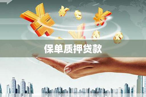 阳信保单质押贷款