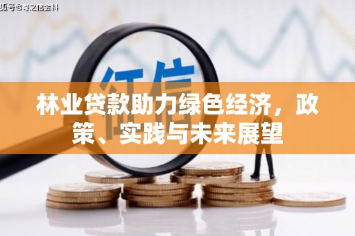 邵阳县林业贷款助力绿色经济，政策、实践与未来展望
