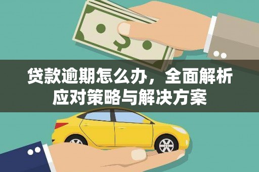 通城贷款逾期怎么办，全面解析应对策略与解决方案