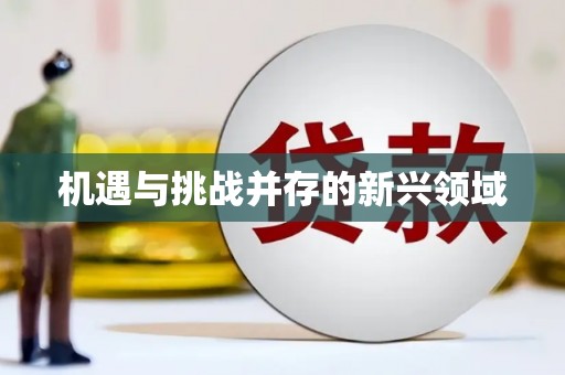 弋阳机遇与挑战并存的新兴领域