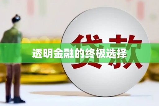 前镇透明金融的终极选择