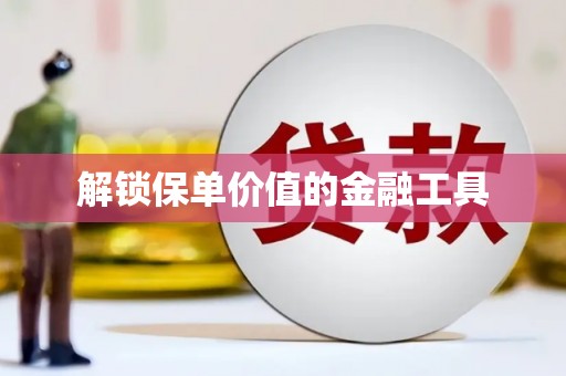 永康解锁保单价值的金融工具
