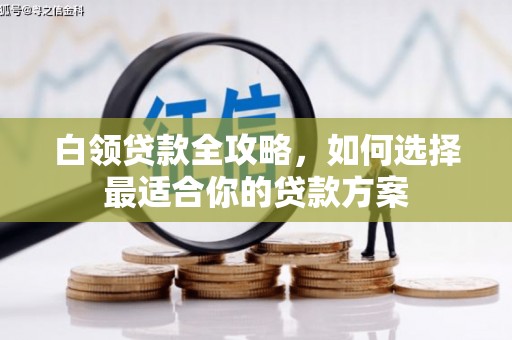 平顶山白领贷款全攻略，如何选择最适合你的贷款方案