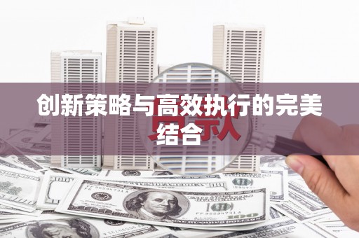 红原创新策略与高效执行的完美结合