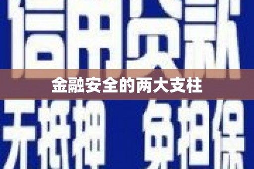 龙潭金融安全的两大支柱