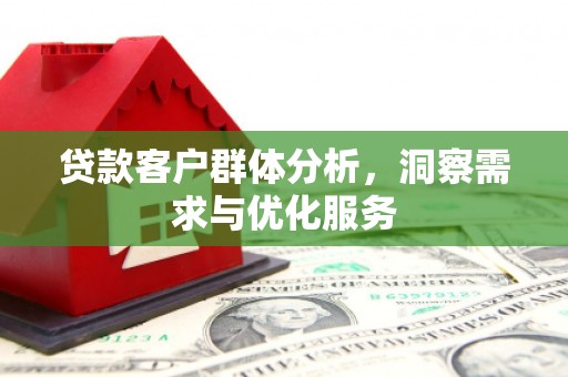 麻山贷款客户群体分析，洞察需求与优化服务